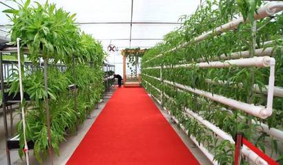 鄉(xiāng)村旅游的常見六大模式,有空可以去體驗體驗