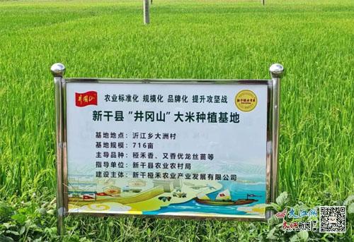 融入 井岡山 區(qū)域公用品牌 新干農(nóng)產(chǎn)品提升了附加值 圖