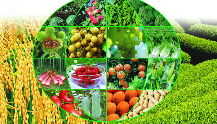 中國(guó)智慧農(nóng)業(yè)網(wǎng):主體模式帶動(dòng)現(xiàn)代農(nóng)業(yè)發(fā)展-