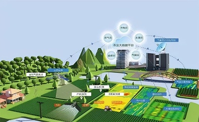 「觀點(diǎn)」盤(pán)和林|數(shù)字賦能鄉(xiāng)村振興,融合生產(chǎn)多個(gè)環(huán)節(jié)重塑農(nóng)業(yè)