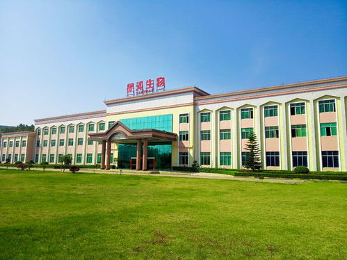 走進(jìn)大灣區(qū) 菜籃子 生產(chǎn)基地 粵北首家工廠(chǎng)化栽培的食用菌企業(yè)