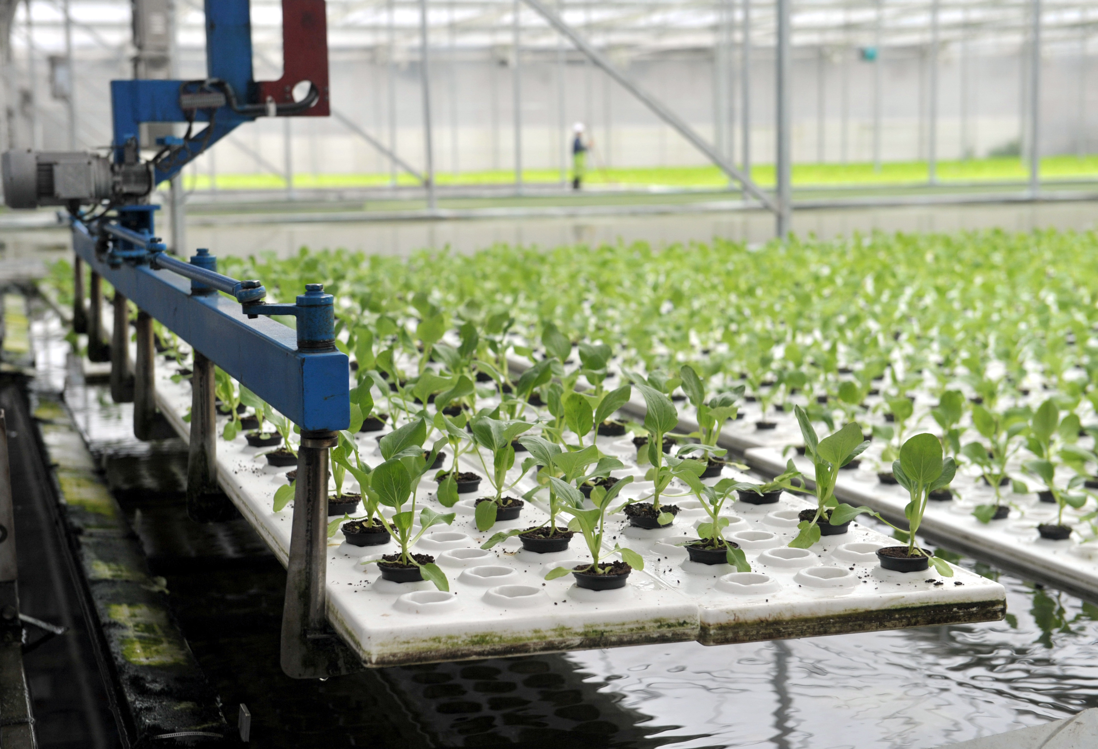 農(nóng)業(yè)供給側(cè)改革圖片 2104125 3848x2625