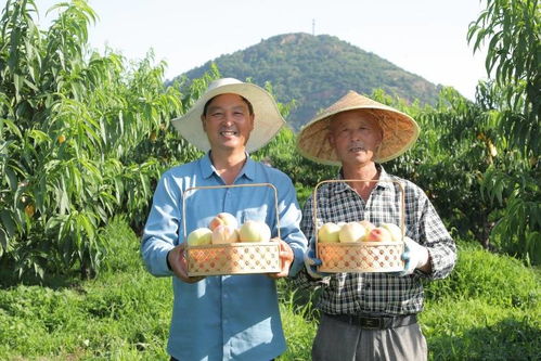 打造優(yōu)質(zhì)農(nóng)產(chǎn)品品牌 京東618助力農(nóng)民增收與消費升級正循環(huán)