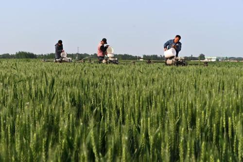 習語 這才是我們強軍的魂