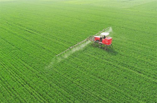 河北邢臺(tái)市南和區(qū) 麥田管護(hù)保豐收