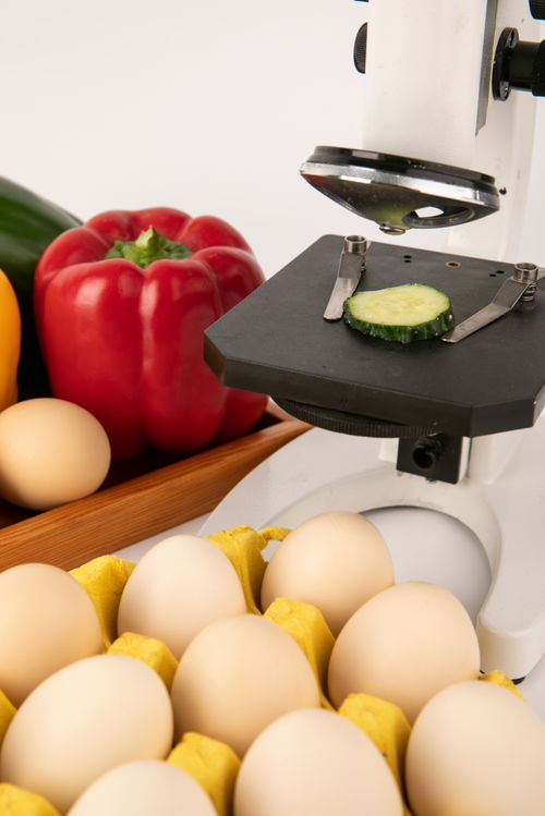 甜椒雞蛋食品安全農(nóng)業(yè)科技食品培育攝影圖 插畫 下載至來(lái)源處