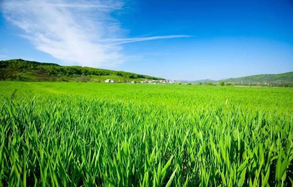 政策動態 | 農業部辦公廳關于做好第二次全國農業污染源普查有關工作的通知