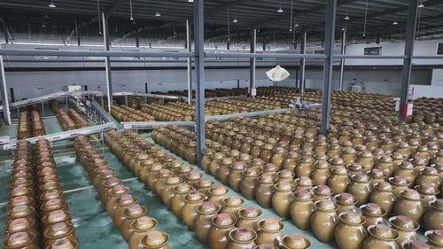 活力中國調研行丨沿著東江走出深山,老區農業如何撬開灣區市場