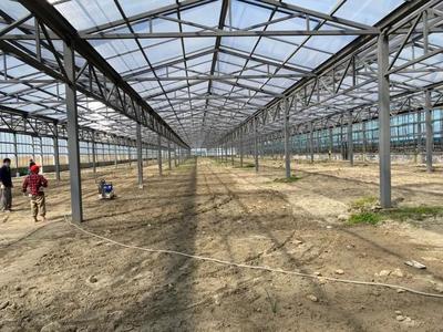 洛舍鎮扎實推進農業重大項目!