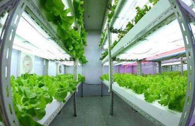 臺(tái)灣源鮮集團(tuán)董事長(zhǎng)蔡文清:臺(tái)植物工廠產(chǎn)品將營(yíng)銷到北歐各國(guó),未來(lái)將開(kāi)發(fā)北歐市場(chǎng)