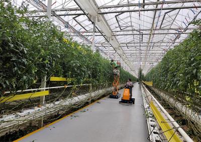 【春耕一線(xiàn)見(jiàn)聞】桐城:數(shù)字技術(shù)&ldquo;上山下田&rdquo; 農(nóng)產(chǎn)品&ldquo;出村進(jìn)城&rdquo;