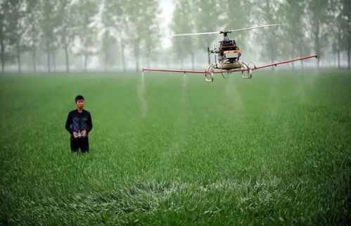 智慧農業時代,無人機成為新農人標配