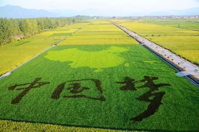 鄉(xiāng)村振興視域下的工農關系變革 改革開放四十年的啟示