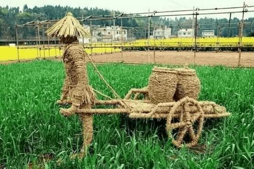 河北省農業農村廳推出11條休閑農業精品線路，助力農業旅游發展