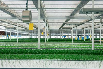 飯碗端得更牢 餐桌更加豐富——“十四五”農業高質量發展答卷