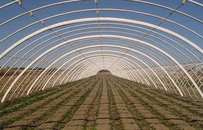 安陽市佳和農業 專業品質，護航現代農業——大棚配件廠家的卓越實踐